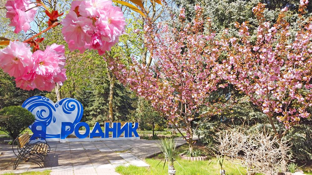 Территория Санаторий «Родник», г. Анапа - парковая зона